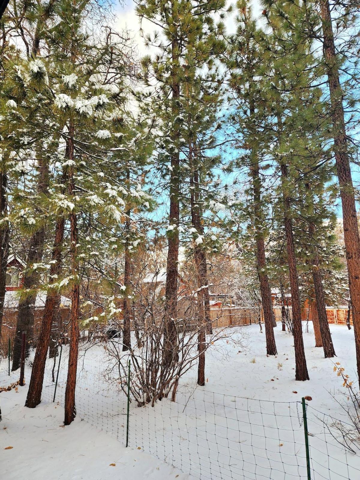 Bear Escapes II Affordable Luxury Cabin Sugarloaf ภายนอก รูปภาพ